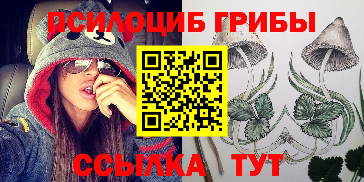 Псилоцибиновые грибы MAGIC MUSHROOMS Выборг